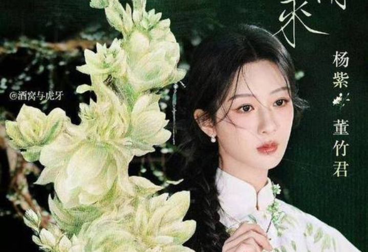 《玉兰花开君再来》杨紫演绎上海滩一代奇女子的跌宕人生-川穆娱乐