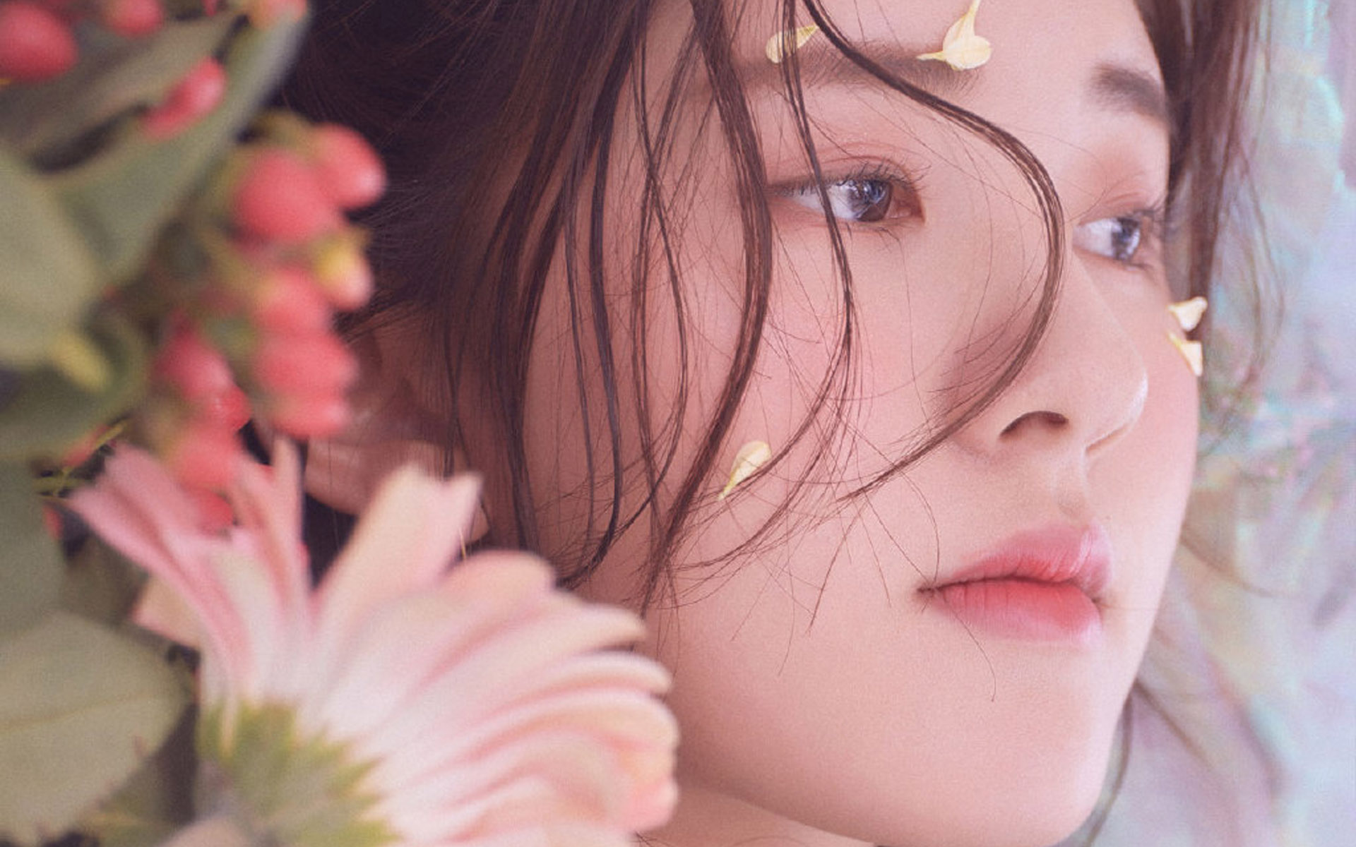 一路稳扎稳打的女明星：赵露思-川穆娱乐